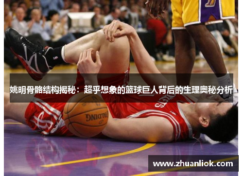 姚明骨骼结构揭秘：超乎想象的篮球巨人背后的生理奥秘分析